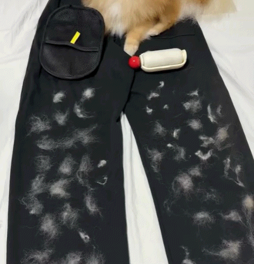 LuvaMagic – Luva Removedora de Pêlos Reutilizável e Ecológica